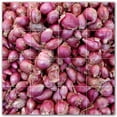 thumbnail image 1 of Picture-Tiles.com: Fruit Ceramic Tile Wall Mural WAL500668-44M. 24"W x 24"H using (16) 6" x 6" Ceramic Tiles-Satin Finish, 1 of 3