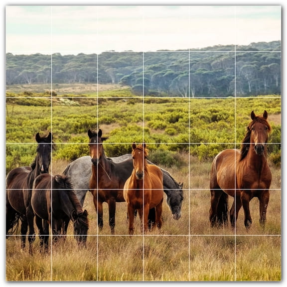 Picture-Tiles.com: Horse Ceramic Tile Wall Mural WAL500748-66S. 25.5"W x 25.5"H using (36) 4.25" x 4.25" Ceramic Tiles-Satin Finish