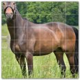 thumbnail image 1 of Picture-Tiles.com: Horse Ceramic Tile Wall Mural WAL500751-66M. 36"W x 36"H using (36) 6" x 6" Ceramic Tiles-Satin Finish, 1 of 3
