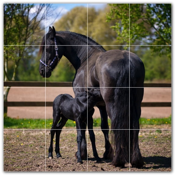 Picture-Tiles.com: Horse Ceramic Tile Wall Mural WAL500759-44L. 32"W x 32"H using (16) 8" x 8" Ceramic Tiles-Satin Finish