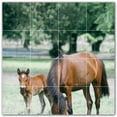 thumbnail image 1 of Picture-Tiles.com: Horse Ceramic Tile Wall Mural WAL500762-44L. 32"W x 32"H using (16) 8" x 8" Ceramic Tiles-Satin Finish, 1 of 3