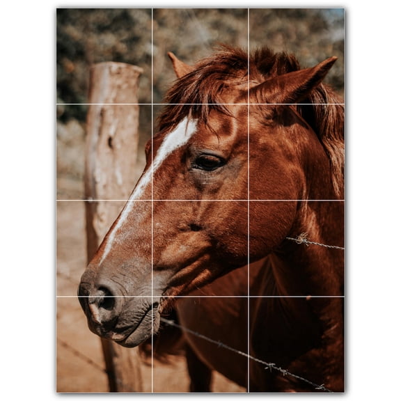 Picture-Tiles.com: Horse Ceramic Tile Wall Mural WAL500771-34S. 12.75"W x 17"H using (12) 4.25" x 4.25" Ceramic Tiles-Satin Finish