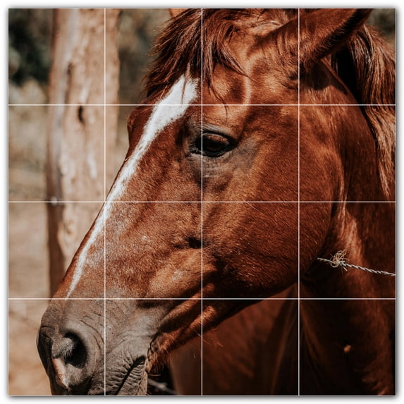 Picture-Tiles.com: Horse Ceramic Tile Wall Mural WAL500771-44L. 32"W x 32"H using (16) 8" x 8" Ceramic Tiles-Satin Finish
