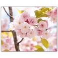 thumbnail image 1 of Picture-Tiles.com: Spring Ceramic Tile Wall Mural WAL500942-54M. 30"W x 24"H using (20) 6" x 6" Ceramic Tiles-Satin Finish, 1 of 3
