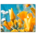 thumbnail image 1 of Picture-Tiles.com: Spring Ceramic Tile Wall Mural WAL500957-54S. 21.25"W x 17"H using (20) 4.25" x 4.25" Ceramic Tiles-Satin Finish, 1 of 3