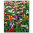 thumbnail image 1 of Picture-Tiles.com: Spring Ceramic Tile Wall Mural WAL500959-45M. 24"W x 30"H using (20) 6" x 6" Ceramic Tiles-Satin Finish, 1 of 3