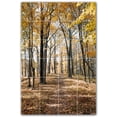thumbnail image 1 of Picture-Tiles.com: Trees Ceramic Tile Wall Mural WAL501004-46XL. 48"W x 72"H using (24) 12" x 12" Ceramic Tiles-Satin Finish, 1 of 3