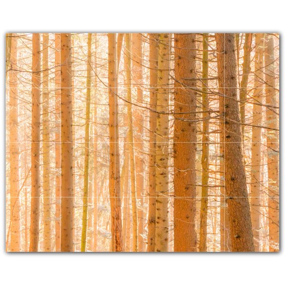 Picture-Tiles.com: Trees Ceramic Tile Wall Mural WAL501007-54L. 40"W x 32"H using (20) 8" x 8" Ceramic Tiles-Satin Finish