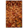 thumbnail image 1 of Picture-Tiles.com: Trees Ceramic Tile Wall Mural WAL501013-35L. 24"W x 40"H using (15) 8" x 8" Ceramic Tiles-Satin Finish, 1 of 3