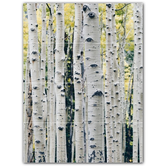 Picture-Tiles.com: Trees Ceramic Tile Wall Mural WAL501025-34XL. 36"W x 48"H using (12) 12" x 12" Ceramic Tiles-Satin Finish