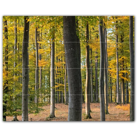 Picture-Tiles.com: Trees Ceramic Tile Wall Mural WAL501031-54S. 21.25"W x 17"H using (20) 4.25" x 4.25" Ceramic Tiles-Satin Finish