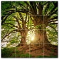 thumbnail image 1 of Picture-Tiles.com: Trees Ceramic Tile Wall Mural WAL501032-44S. 17"W x 17"H using (16) 4.25" x 4.25" Ceramic Tiles-Satin Finish, 1 of 3