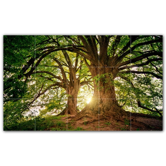 Picture-Tiles.com: Trees Ceramic Tile Wall Mural WAL501032-53S. 21.25"W x 12.75"H using (15) 4.25" x 4.25" Ceramic Tiles-Satin Finish