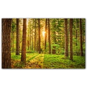 Picture-Tiles.com Trees Ceramic Tile Wall Mural WAL501041-53S. 21.25"W x 12.75"H using 15 4.25" x 4.25" Ceramic Tiles-Satin Finish
