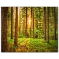 thumbnail image 1 of Picture-Tiles.com: Trees Ceramic Tile Wall Mural WAL501041-54S. 21.25"W x 17"H using (20) 4.25" x 4.25" Ceramic Tiles-Satin Finish, 1 of 3
