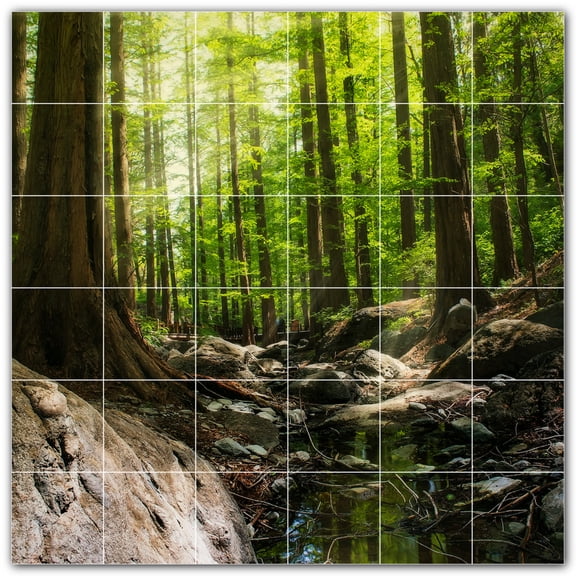 Picture-Tiles.com: Trees Ceramic Tile Wall Mural WAL501042-66M. 36"W x 36"H using (36) 6" x 6" Ceramic Tiles-Satin Finish