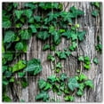 thumbnail image 1 of Picture-Tiles.com: Trees Ceramic Tile Wall Mural WAL501044-44M. 24"W x 24"H using (16) 6" x 6" Ceramic Tiles-Satin Finish, 1 of 3