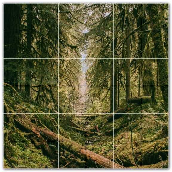 Picture-Tiles.com: Trees Ceramic Tile Wall Mural WAL501046-66S. 25.5"W x 25.5"H using (36) 4.25" x 4.25" Ceramic Tiles-Satin Finish