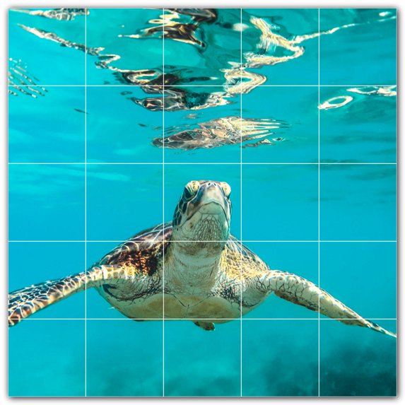 Picture-Tiles.com: Turtle Ceramic Tile Wall Mural WAL501050-55M. 30"W x 30"H using (25) 6" x 6" Ceramic Tiles-Satin Finish
