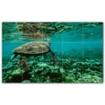 thumbnail image 1 of Picture-Tiles.com: Turtle Ceramic Tile Wall Mural WAL501062-53L. 40"W x 24"H using (15) 8" x 8" Ceramic Tiles-Satin Finish, 1 of 3