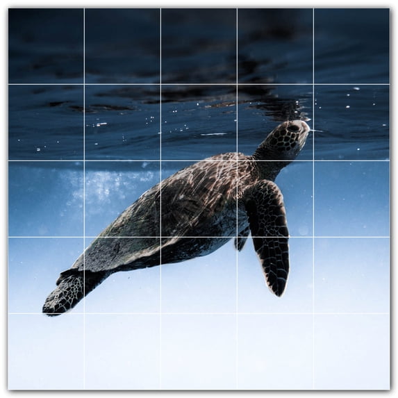 Picture-Tiles.com: Turtle Ceramic Tile Wall Mural WAL501063-55M. 30"W x 30"H using (25) 6" x 6" Ceramic Tiles-Satin Finish