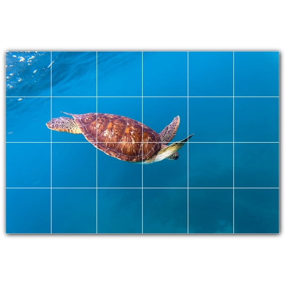 Picture-Tiles.com: Turtle Ceramic Tile Wall Mural WAL501069-64M. 36"W x 24"H using (24) 6" x 6" Ceramic Tiles-Satin Finish