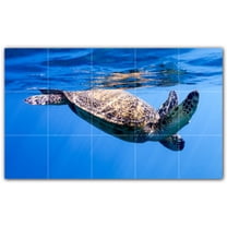 Picture-Tiles.com: Turtle Ceramic Tile Wall Mural WAL501082-53L. 40"W x 24"H using (15) 8" x 8" Ceramic Tiles-Satin Finish