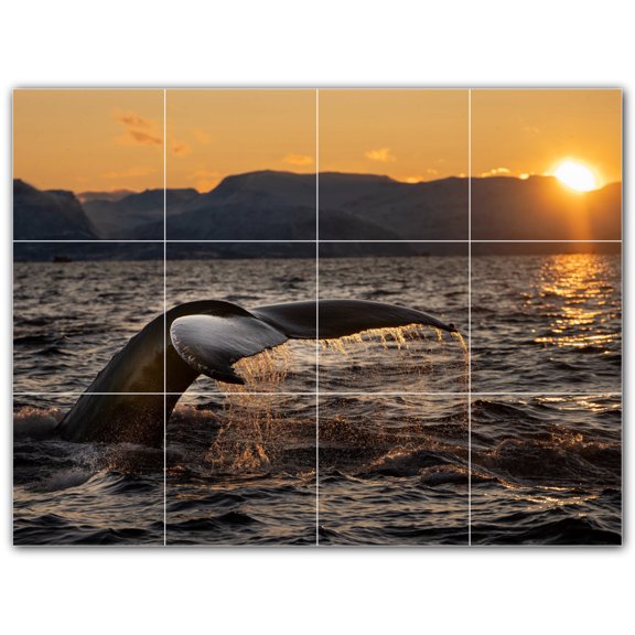 Picture-Tiles.com: Whale Ceramic Tile Wall Mural WAL501185-43XL. 48"W x 36"H using (12) 12" x 12" Ceramic Tiles-Satin Finish