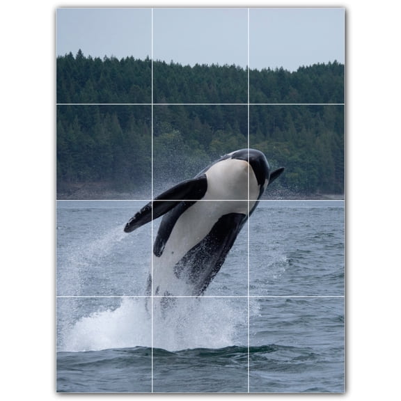 Picture-Tiles.com: Whale Ceramic Tile Wall Mural WAL501189-34M. 18"W x 24"H using (12) 6" x 6" Ceramic Tiles-Satin Finish