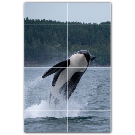 Picture-Tiles.com: Whale Ceramic Tile Wall Mural WAL501189-46L. 32"W x 48"H using (24) 8" x 8" Ceramic Tiles-Satin Finish