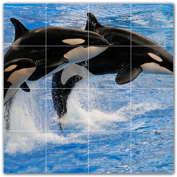 Picture-Tiles.com: Whale Ceramic Tile Wall Mural WAL501194-44M. 24"W x 24"H using (16) 6" x 6" Ceramic Tiles-Satin Finish