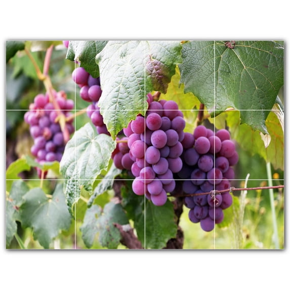 Picture-Tiles.com: Wine Ceramic Tile Wall Mural WAL501211-43XL. 48"W x 36"H using (12) 12" x 12" Ceramic Tiles-Satin Finish