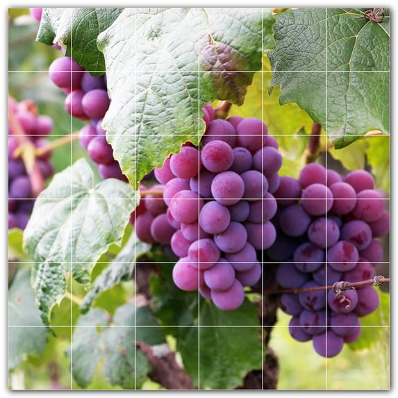 Picture-Tiles.com: Wine Ceramic Tile Wall Mural WAL501211-66M. 36"W x 36"H using (36) 6" x 6" Ceramic Tiles-Satin Finish