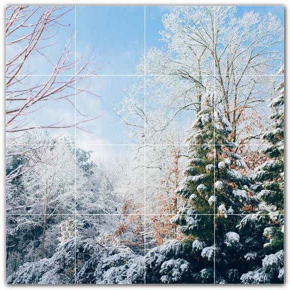 Picture-Tiles.com: Winter Ceramic Tile Wall Mural WAL501219-44XL. 48"W x 48"H using (16) 12" x 12" Ceramic Tiles-Satin Finish