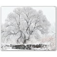 thumbnail image 1 of Picture-Tiles.com: Winter Ceramic Tile Wall Mural WAL501227-54XL. 60"W x 48"H using (20) 12" x 12" Ceramic Tiles-Satin Finish, 1 of 3