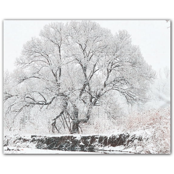 Picture-Tiles.com: Winter Ceramic Tile Wall Mural WAL501227-54XL. 60"W x 48"H using (20) 12" x 12" Ceramic Tiles-Satin Finish