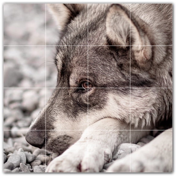 Picture-Tiles.com: Wolf Ceramic Tile Wall Mural WAL501229-44M. 24"W x 24"H using (16) 6" x 6" Ceramic Tiles-Satin Finish