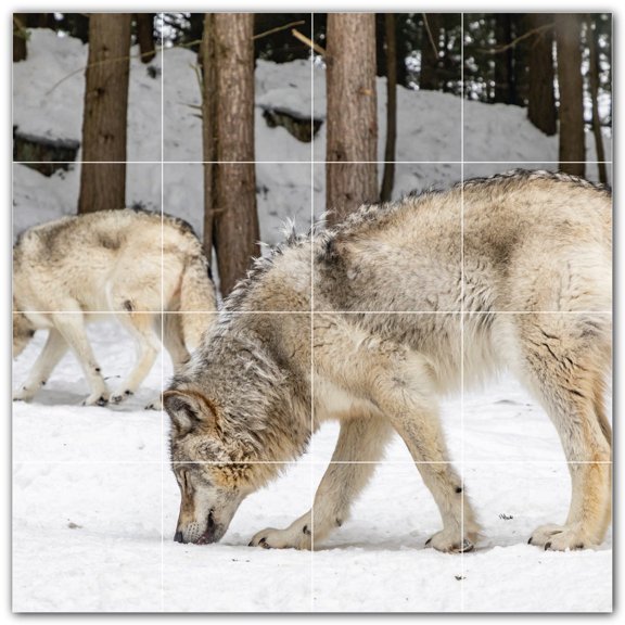 Picture-Tiles.com: Wolf Ceramic Tile Wall Mural WAL501230-44L. 32"W x 32"H using (16) 8" x 8" Ceramic Tiles-Satin Finish