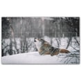 thumbnail image 1 of Picture-Tiles.com: Wolf Ceramic Tile Wall Mural WAL501231-53S. 21.25"W x 12.75"H using (15) 4.25" x 4.25" Ceramic Tiles-Satin Finish, 1 of 3