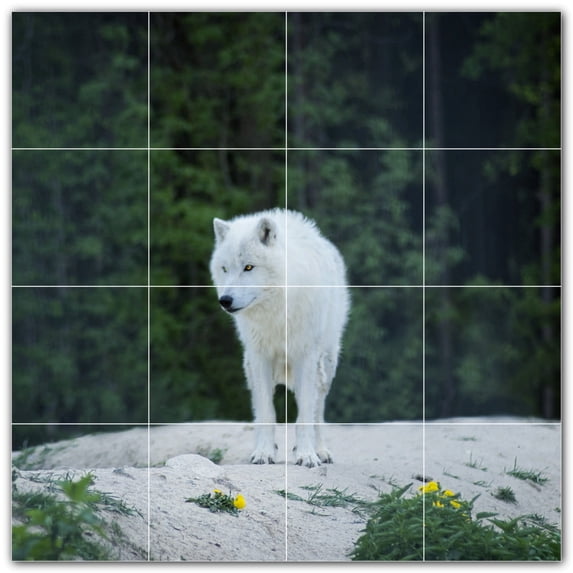 Picture-Tiles.com: Wolf Ceramic Tile Wall Mural WAL501237-44XL. 48"W x 48"H using (16) 12" x 12" Ceramic Tiles-Satin Finish