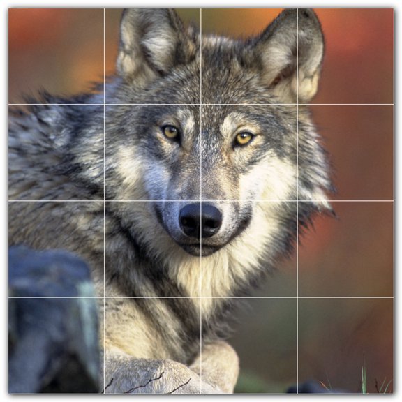 Picture-Tiles.com: Wolf Ceramic Tile Wall Mural WAL501239-44L. 32"W x 32"H using (16) 8" x 8" Ceramic Tiles-Satin Finish