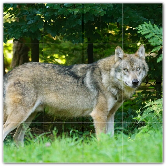 Picture-Tiles.com: Wolf Ceramic Tile Wall Mural WAL501240-44L. 32"W x 32"H using (16) 8" x 8" Ceramic Tiles-Satin Finish