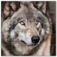 thumbnail image 1 of Picture-Tiles.com: Wolf Ceramic Tile Wall Mural WAL501241-55S. 21.25"W x 21.25"H using (25) 4.25" x 4.25" Ceramic Tiles-Satin Finish, 1 of 3