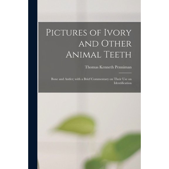 Pictures of Ivory and Other Animal Teeth: Bone and Antler; With a Brief Commentary on Their Use on Identification, (Paperback)