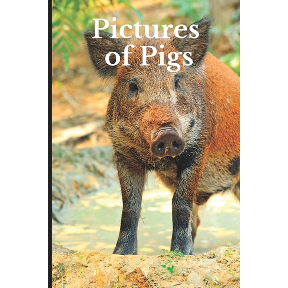 Pictures of Pigs: Funny White Elephant, Secret Dirty Santa Gift, (Stupid Gifts Ideas) (Paperback)