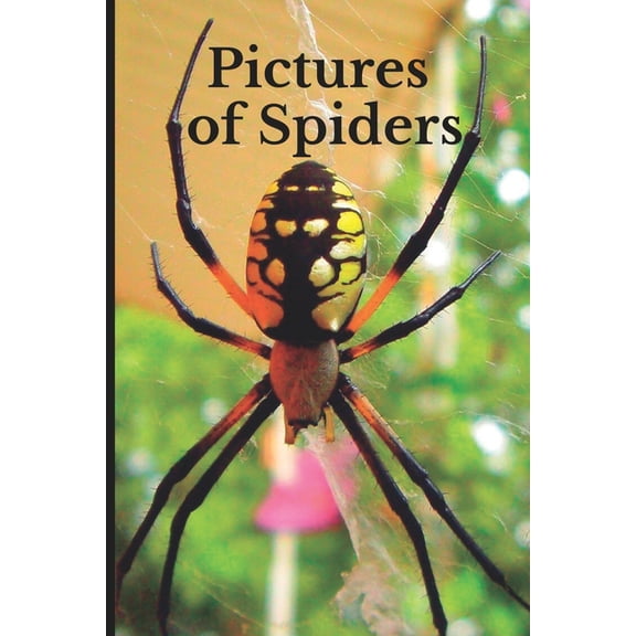 Pictures of Spiders: Funny White Elephant, Secret Dirty Santa Gift, (Stupid Gifts Ideas) (Paperback)