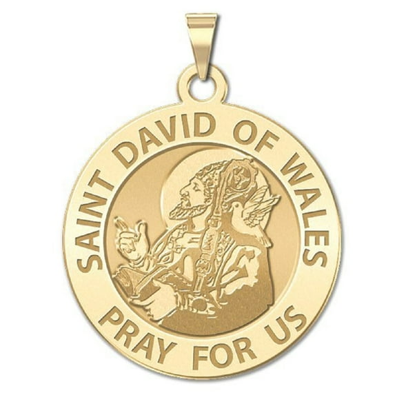 Picturesongold.Com Saint David of Wales Religious Medal Necklace Pendants Adult-3/4" 14K Yellow Gold