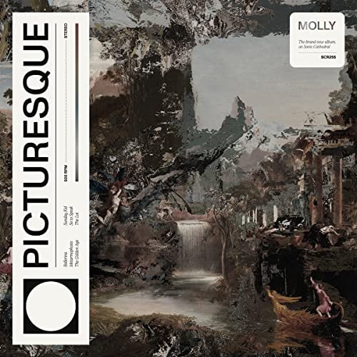 Picturesque (LP)