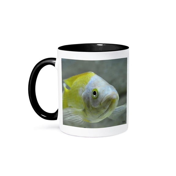 Fish Lover Mug 15oz