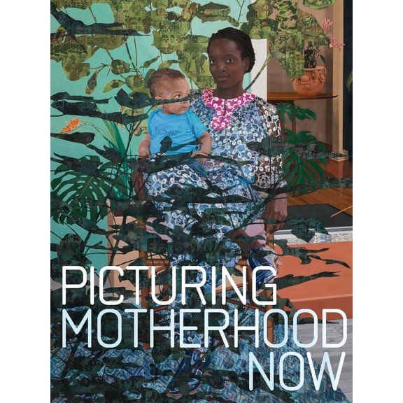 Picturing Motherhood Now, (Hardcover)